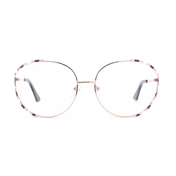 2021 New Arrival Stunning Metal Frames Big Size Spectacles