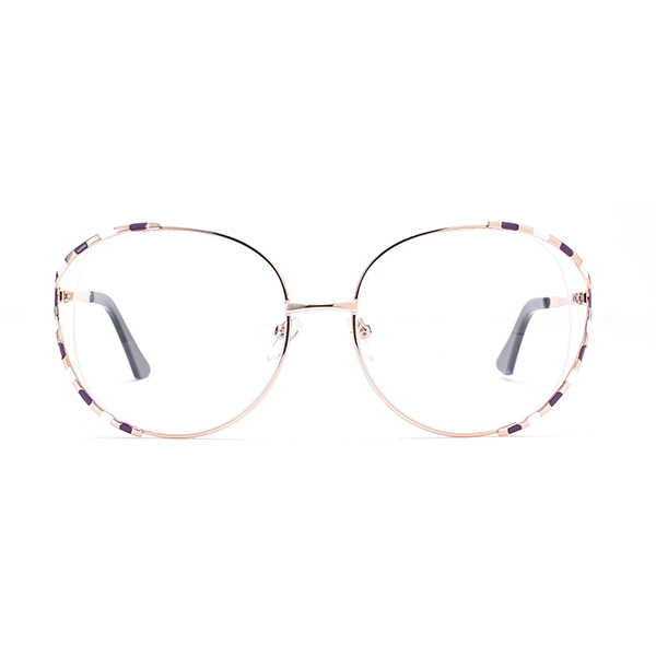 2021 New Arrival Stunning Metal Frames Big Size Spectacles