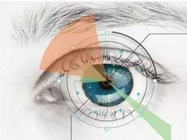 Do You Know What Food Is Benefit For Eyes?