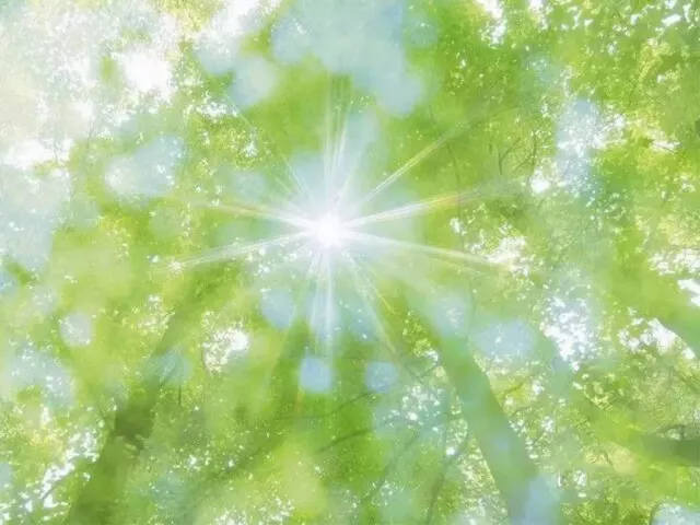 What Damage Will the Eyes Cause When the Sun Shines Directly on the Eyes?