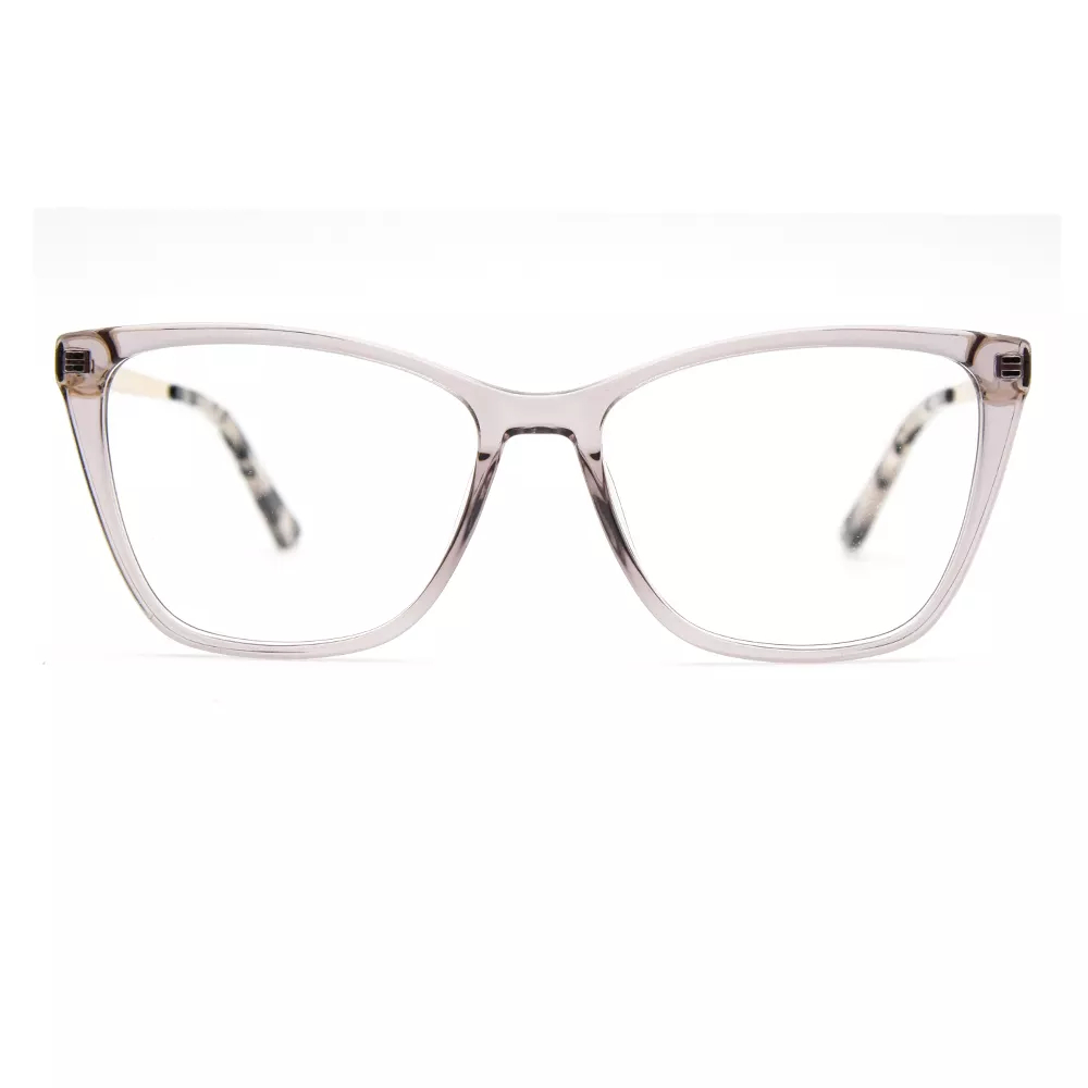 Metal Fashion Optical Frame Model