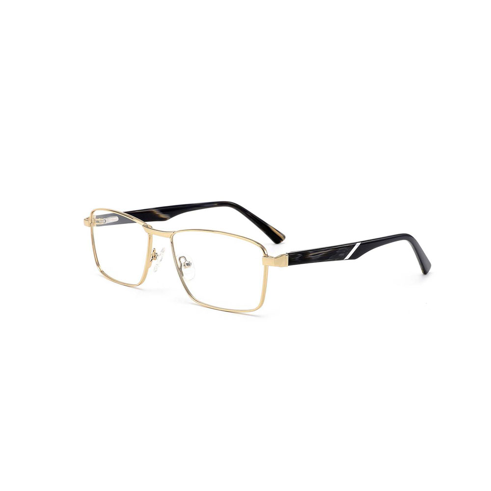 Gd New Design Bicolor Metal Basis Style Business Temperament for Male Frames