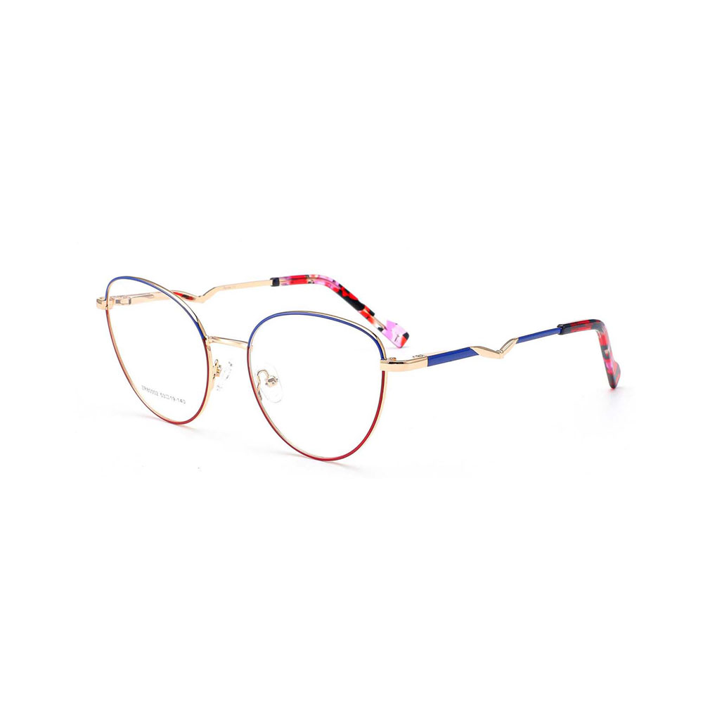 Gd Fashion Cat Eye Shape Colour Temple Design  Optical Frames