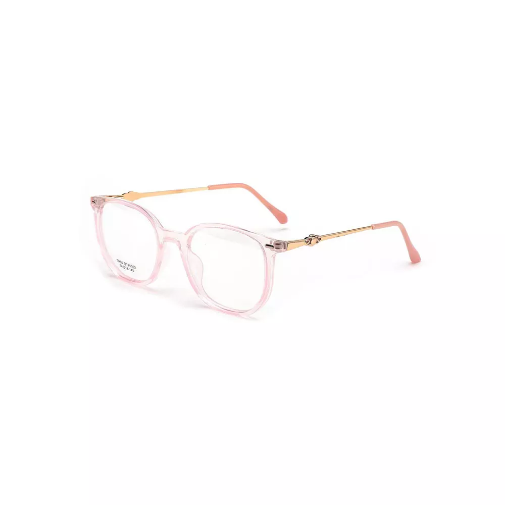 Gd Fashion TR Optical Frame with Metal Decoration Temple Eyeglasses Frames