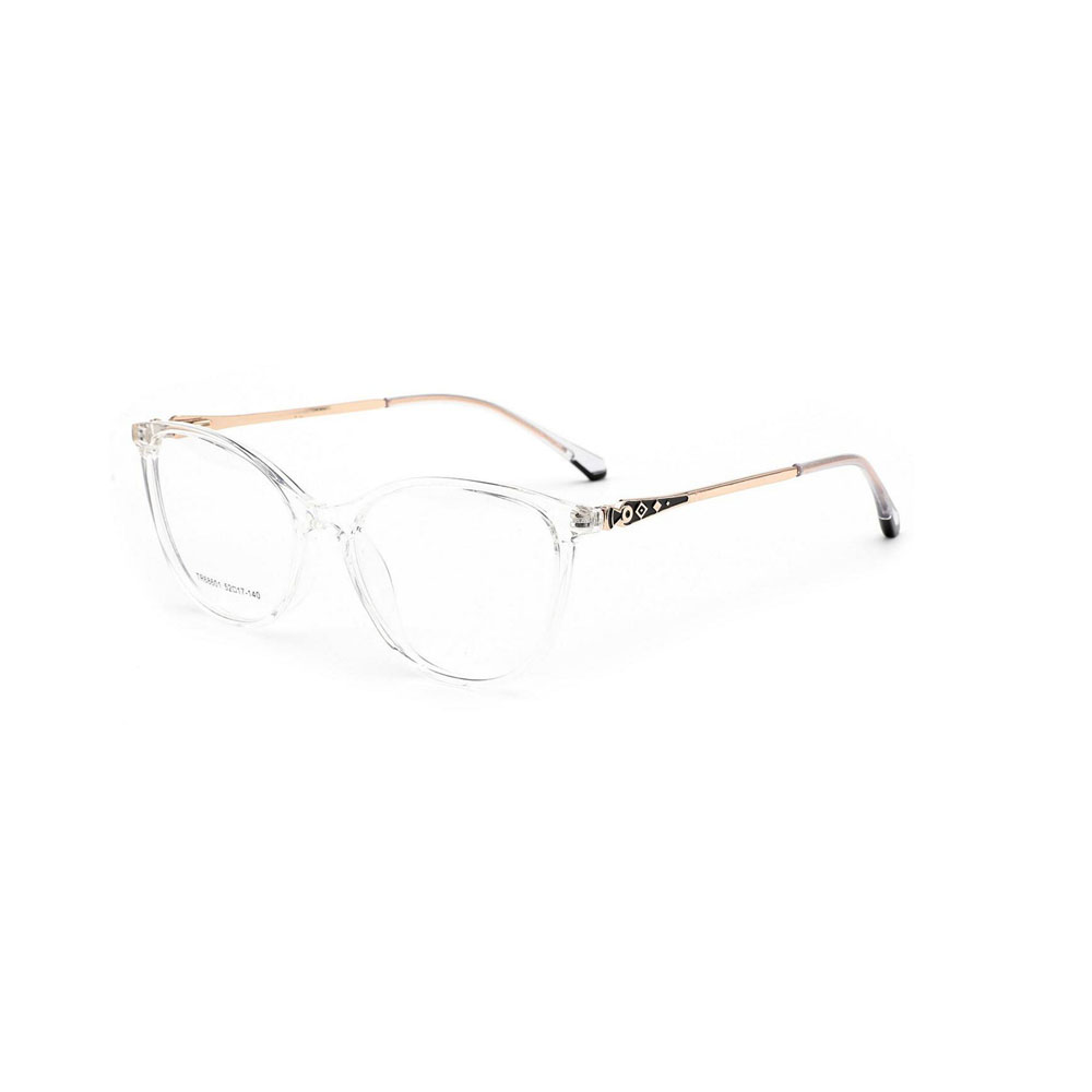 Gd Fashion Design Style Wholesale Order Tr Optical Frame with Metal Temples