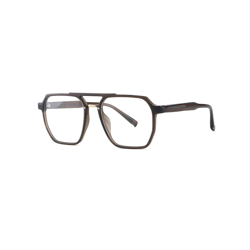 Gd Fashionable Double Bridge Acetate & Alloy Irregular Frame Vintage Optical Frames