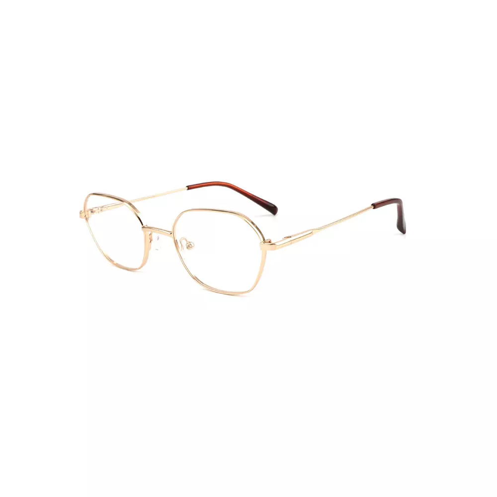 Gd 2025 New Style Classic Irregular Optical Frame