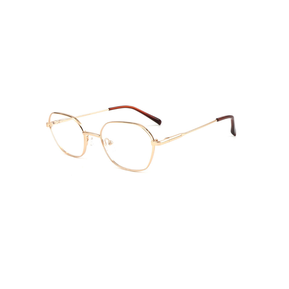 Gd 2025 New Style Classic Irregular Optical Frame