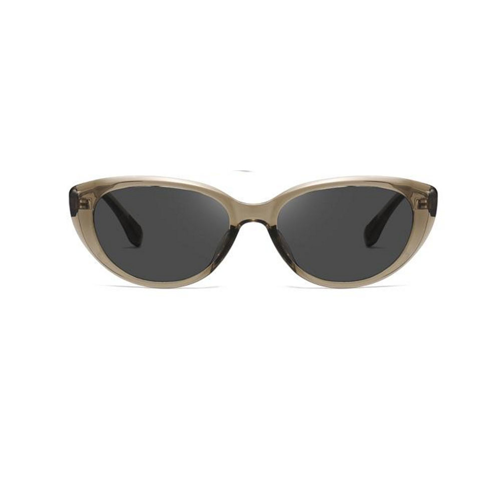 Gd Cat Eye Photochromic Anti-Blue Lenses Polarized Sunglasses UV400 TR90 Sunglasses